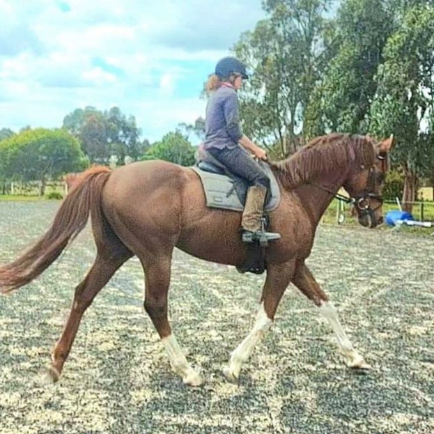 Equatori (retired)