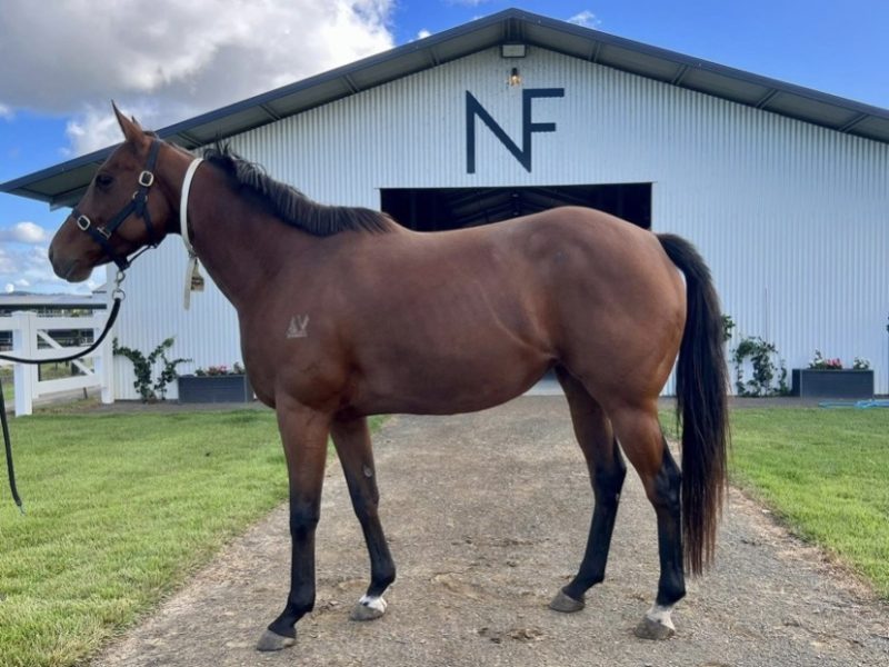 Equatori (retired)