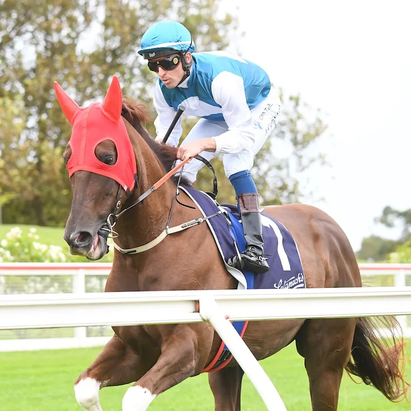 equatori racing