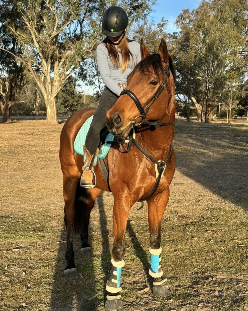 Equatori (retired)